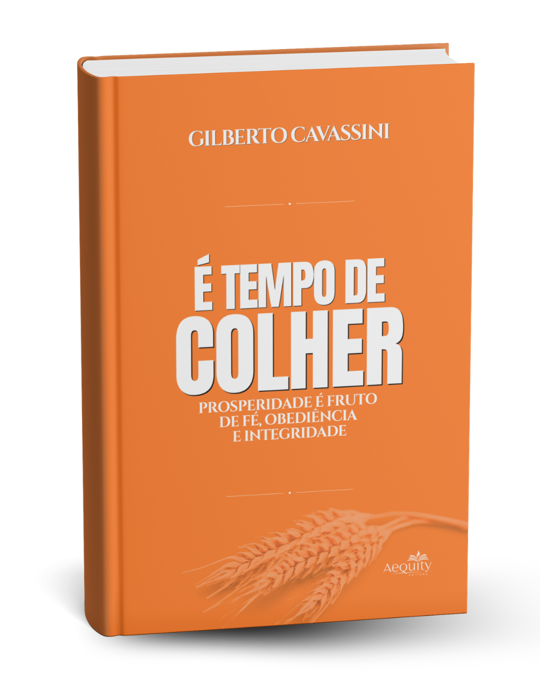 Livro É Tempo de Colher, de Gilberto Cavassini